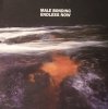 Male Bonding - Endless Now (CD)